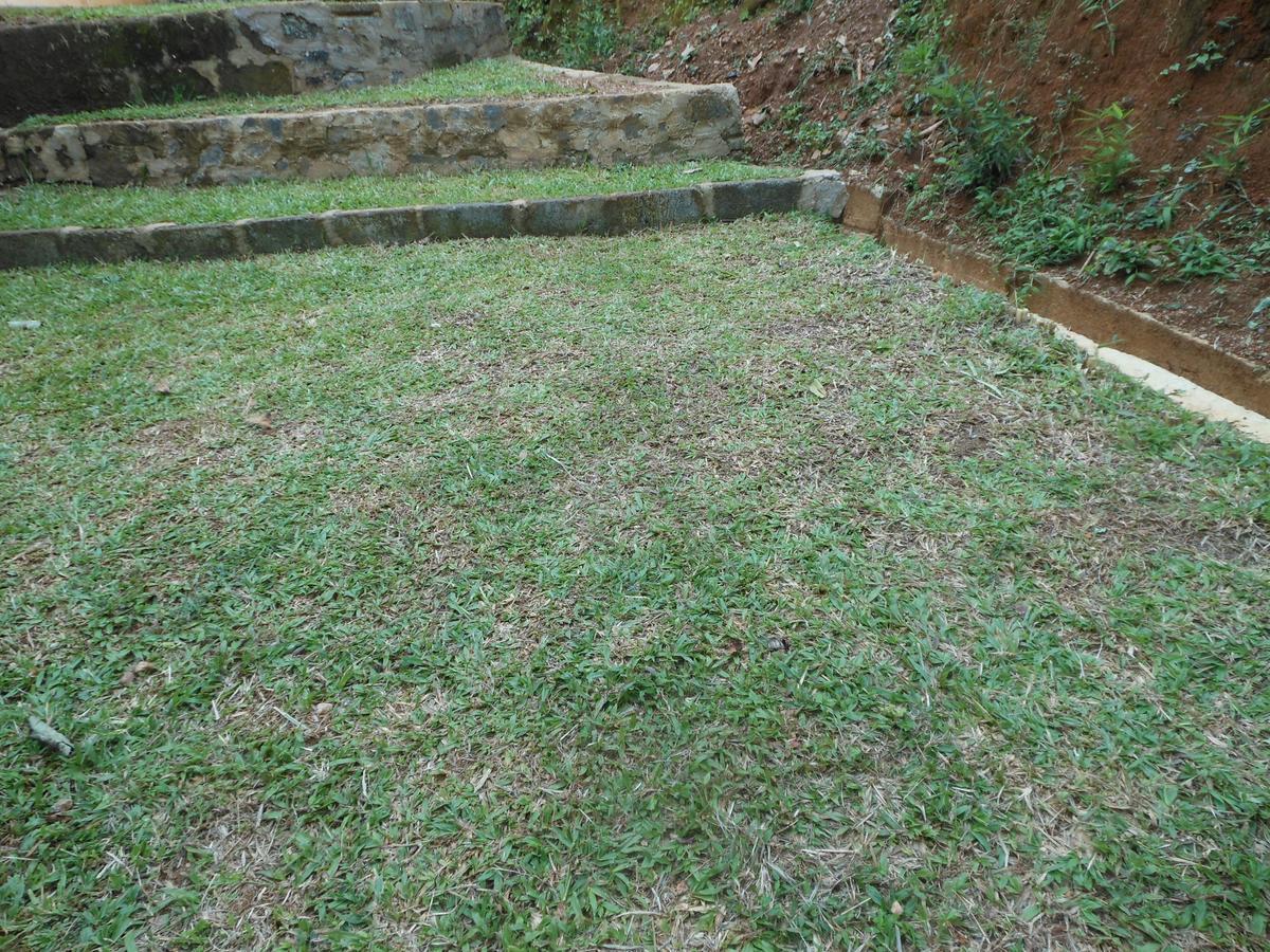 Lavender Hills Hotel Kandy Eksteriør billede